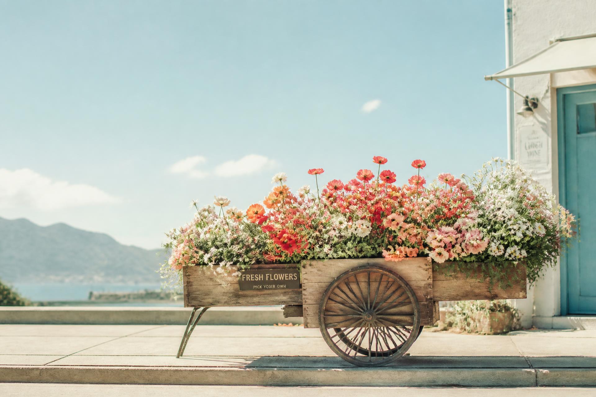 Vintage wooden flower cart filled with fresh blooms under a blue sky